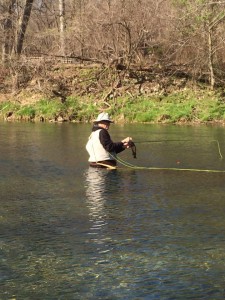Man fly-fishing trout in stream