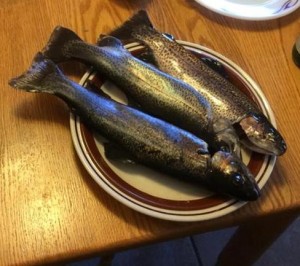 Plate with three trout