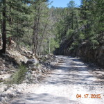 Rough road in the Black Range mountains of New Mexico