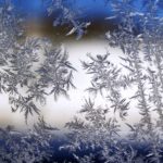 ice flowers on window