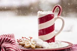holiday mug and cookie