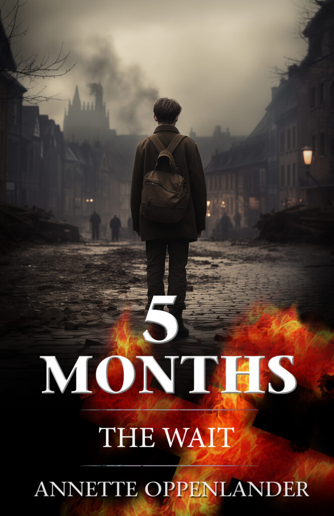 Book cover WWII novella young man and burning swastika